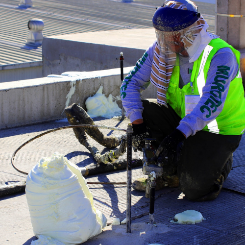 Proyecto Vesta Florido - Imagen 2