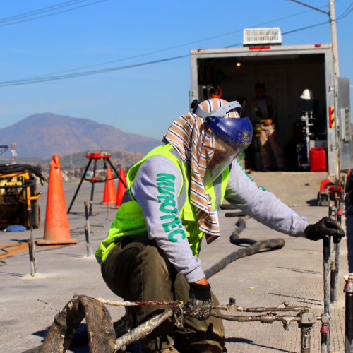 Proyecto Vesta Florido - Imagen 4